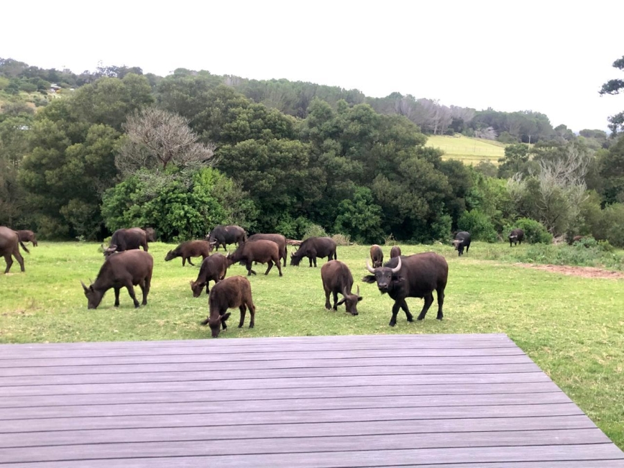 4 Bedroom Property for Sale in Kragga Kamma Eastern Cape